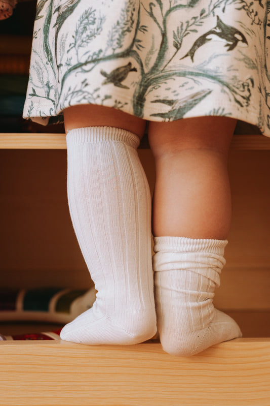 Condor Ribbed Cotton Knee-High Socks